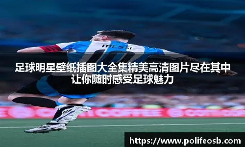游泳体育新闻最新发布 国际赛事备战进入高峰期